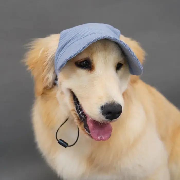 Casquette de baseball ajustable pour grands chiens