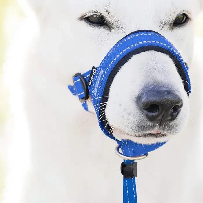 Collier anti-aboiement en nylon respirant avec muselière réfléchissante pour entraîner et sécuriser votre chien lors des promenades et randonnées nocturnes
