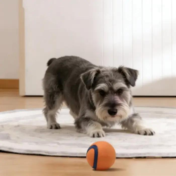 Balle de chien indestructible caoutchouc pour mâchage agressif jouets à mâcher pour chiens durables et sécuritaires occasions spéciales et quotidienne