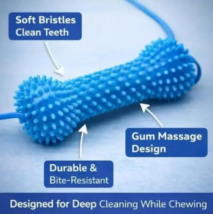 Jouet de brossage dentaire pour chien avec ventouse et corde de traction