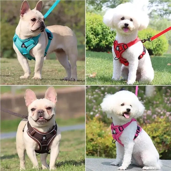 Harnais pour chien avec laisse de Traction de 1,5 m, ensemble sans traction, sangle de gilet pour chien, harnais respirant réfléchissant réglable pour chiens, chiots et chats