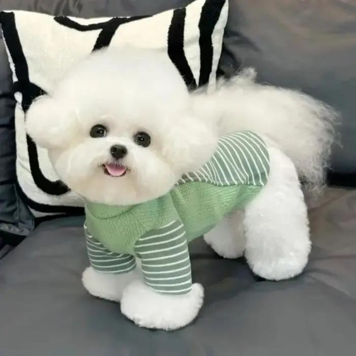 Pull rayé chaud pour chiot, sous-vêtement doux et confortable pour chien avec anneau en D, sweat-shirt pour chien pour activités de plein air