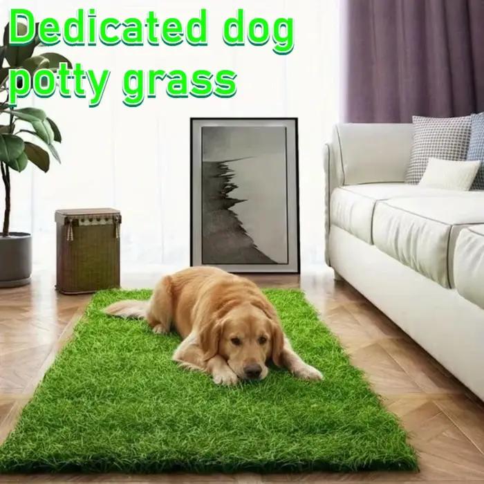 Tapis d'entraînement lavable et réutilisable pour chien