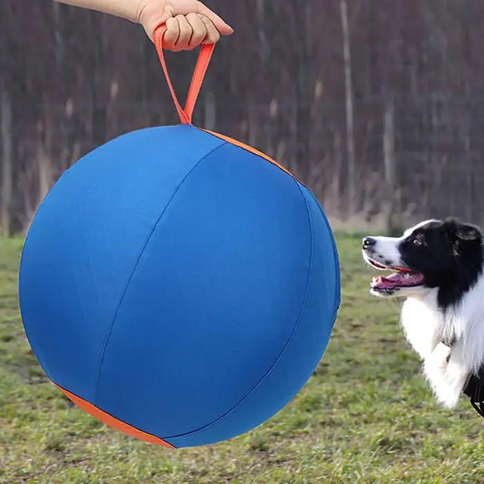 Jouet de dressage pour chiens : balle d'entraînement