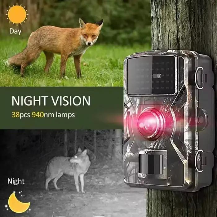 Caméra de chasse à infrarouge sauvage vision nocturne surveillance sauvage suivi actif jeu de piste capture animaux nature observation faune nocturne étude comportement animal