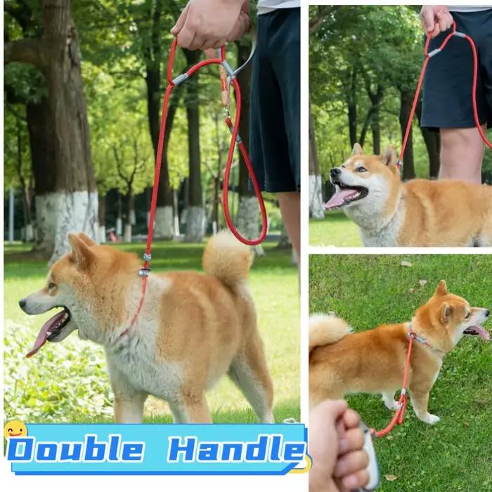 Laisse à double poignée réglable pour chien, fournitures pour animaux de compagnie, marche, chiot, P JODogs, 1.4m
