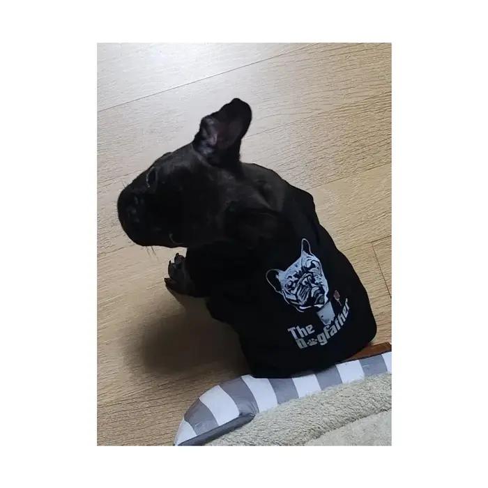 Singulet de mode classique pour chiens et chiots de différentes races, élégant et confortable pour les journées estivales