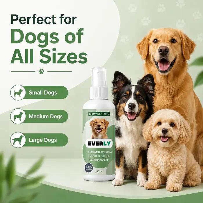 Spray de soin dentaire pour chien 100 ml, spray d'hygiène buccale sans brossage - rafraîchisseur d'haleine naturel, nettoyage dentaire à base de plantes sans alcool