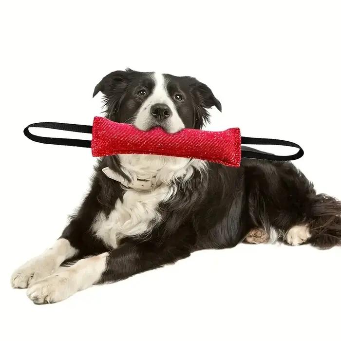 Jouet de tirage pour chien, jouet de tirage extérieur, jeu de la corde, coussin à mâcher pour chiot,