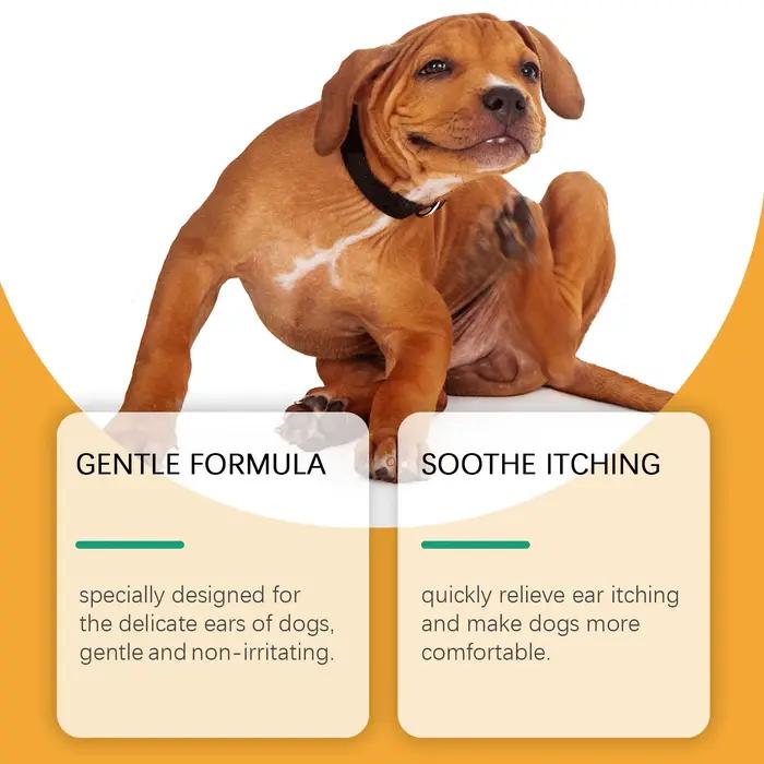 Gouttes de soin des oreilles de chien