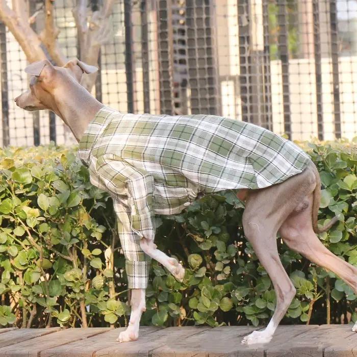 Manteau de printemps à manches longues en coton vert pour chiens mi-chiens