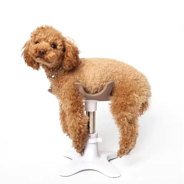 Table de toilettage pour chiens résistante à l'eau avec cadre robuste et sangles ajustables pour toilettage et bain occasions spéciales