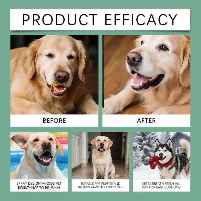 Spray buccal pour chiens et chats, haleine fraîche, dents propres, élimine la plaque et le tartre, sans rinçage, anti-odorant, soin bucco-dentaire sain et inoffensif, facile à utiliser, pour animaux de compagnie, occasions spéciales