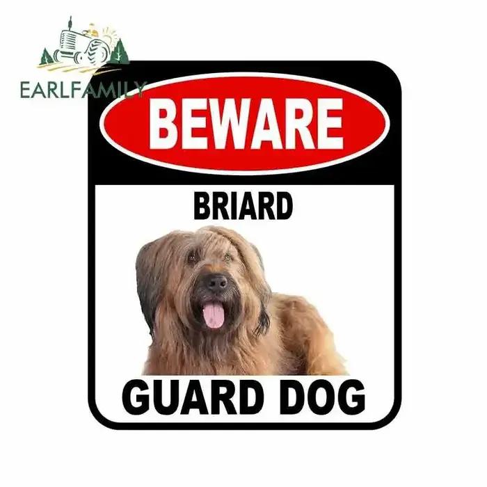 EARLFAMILY BEWARE BRIARD garde chien voiture autocollant couverture rayures Composite signe animal de compagnie