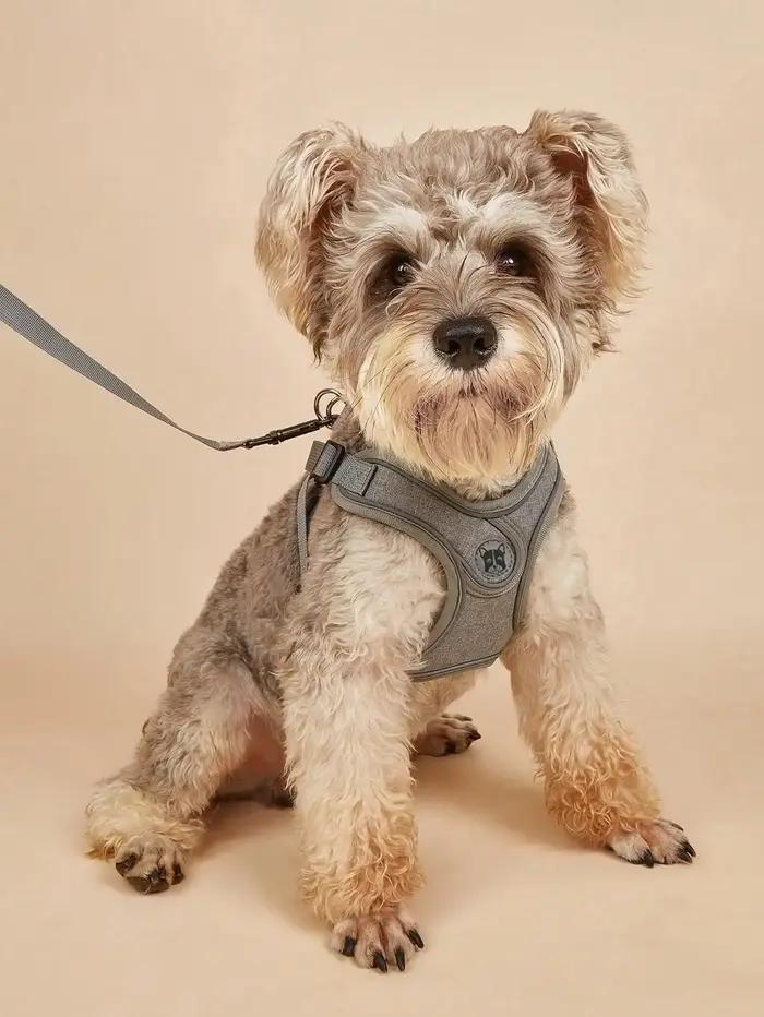 Harnais pour chien pour chiens de petite et moyenne taille