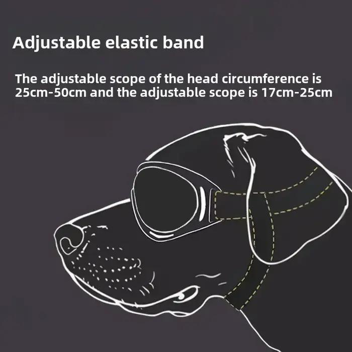 Lunettes de protection pour chien