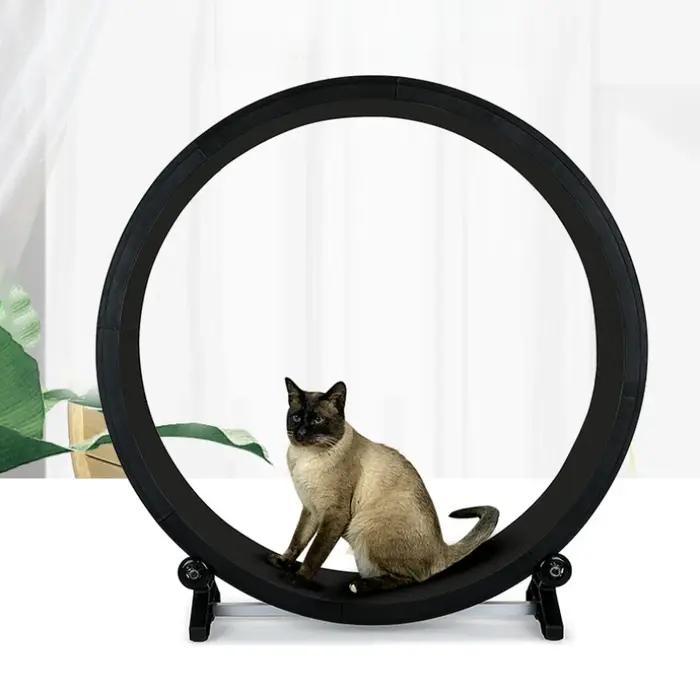 Tapis de course silencieux multifonctionnel pour animaux de compagnie