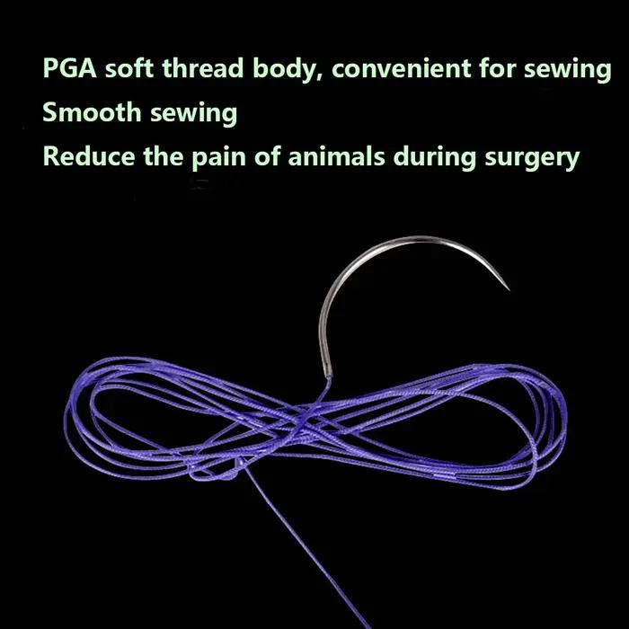 Fil de Suture absorbant pour chien de compagnie