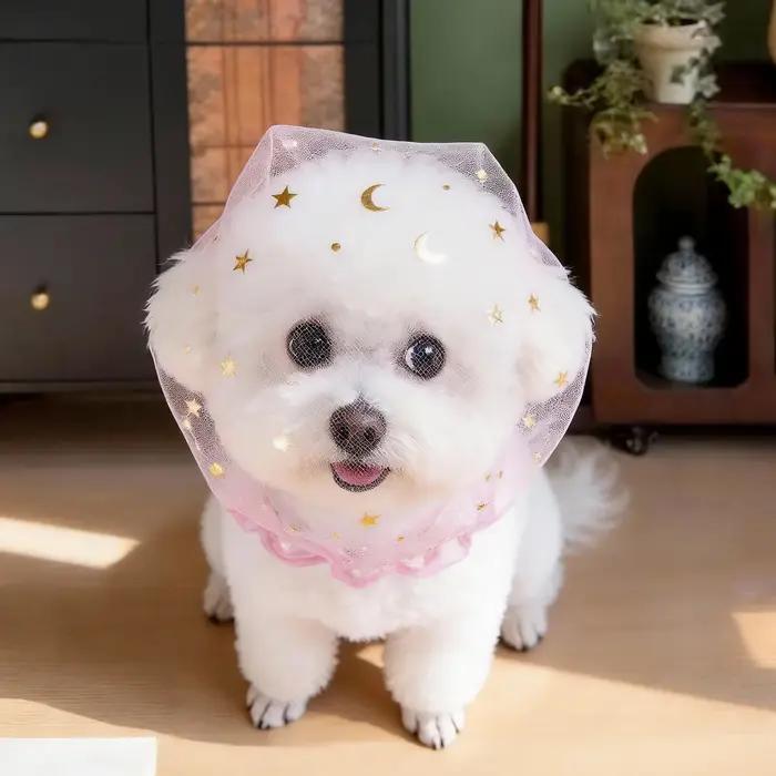 Accessoire de mode en maille pour chiens anti-mastication respirant pour promenade en extérieur
