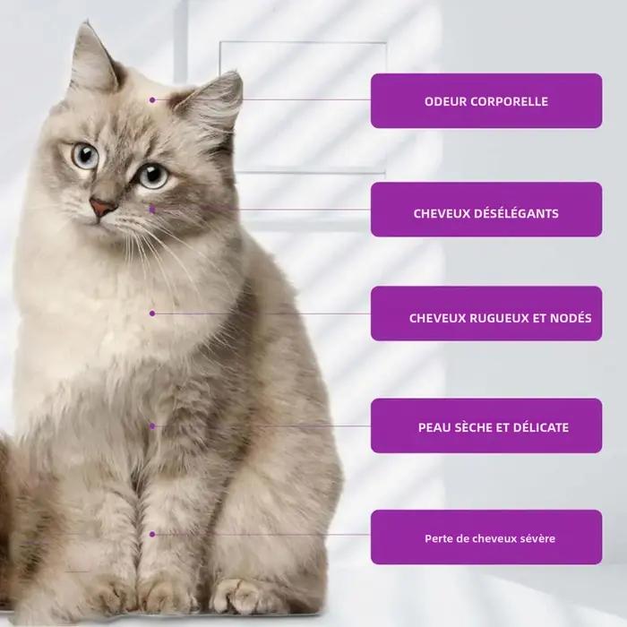 Shampoing Quotidien Apaisant pour Animaux de Compagnie – Soin Doux Anti-Nœuds pour Peau et Pelage – Nourrissant
