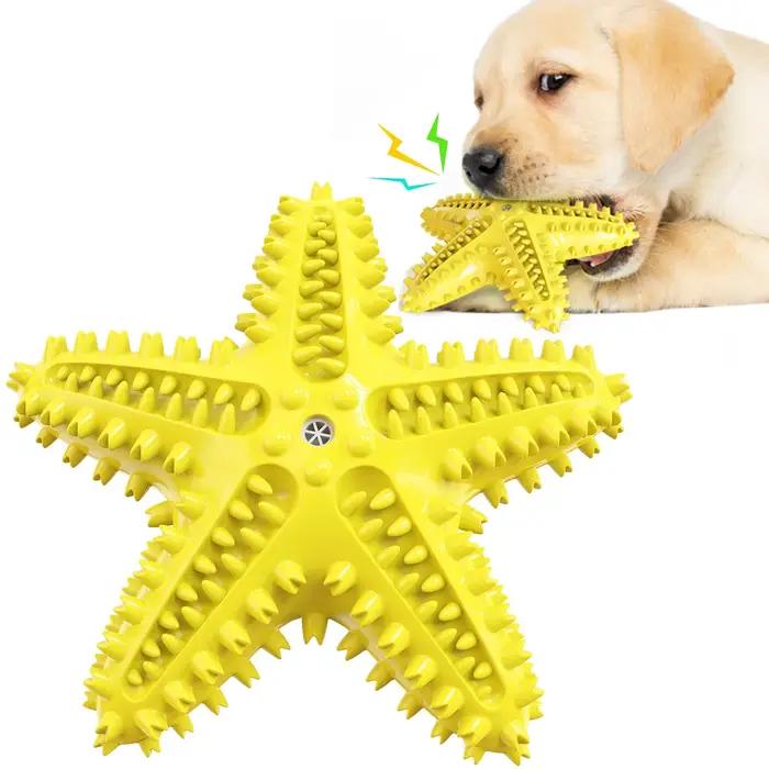 Jouet sonore étoile de mer pour chien