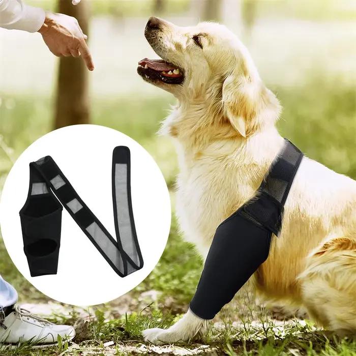 Attelle de soutien pour pattes de chien blessées