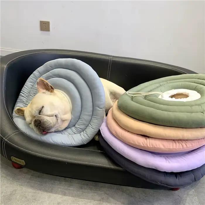 Collier Élisabéthain pour Chien Coton Résistant à l'Eau en Forme de Beignet Pour Toutes les Saisons Occasions Spéciales