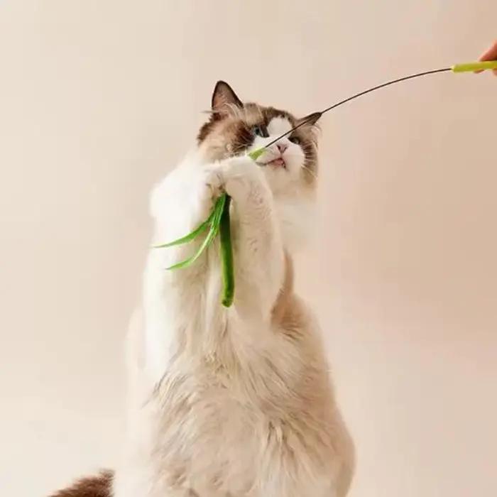 Nouveaux jouets pour chats