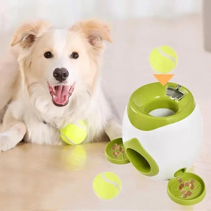 Lanceur de balles pour chiens