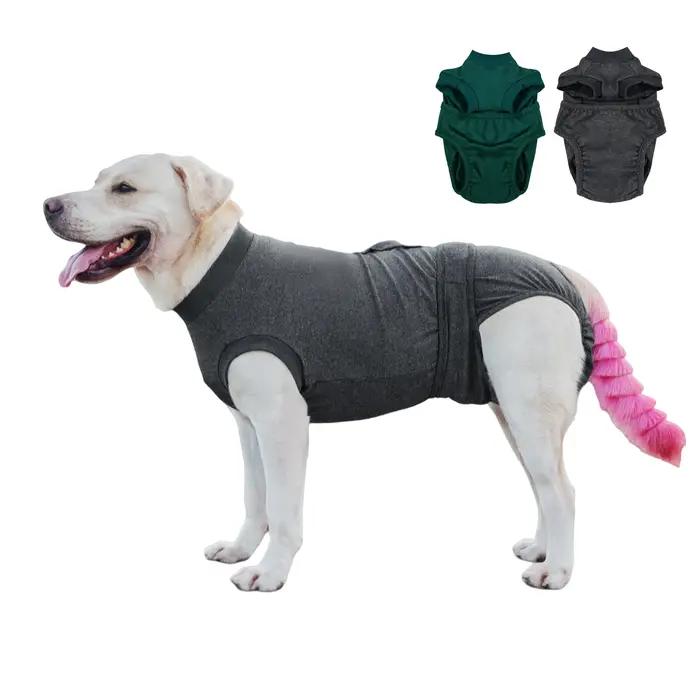 Combinaison de récupération post-opératoire pour chien