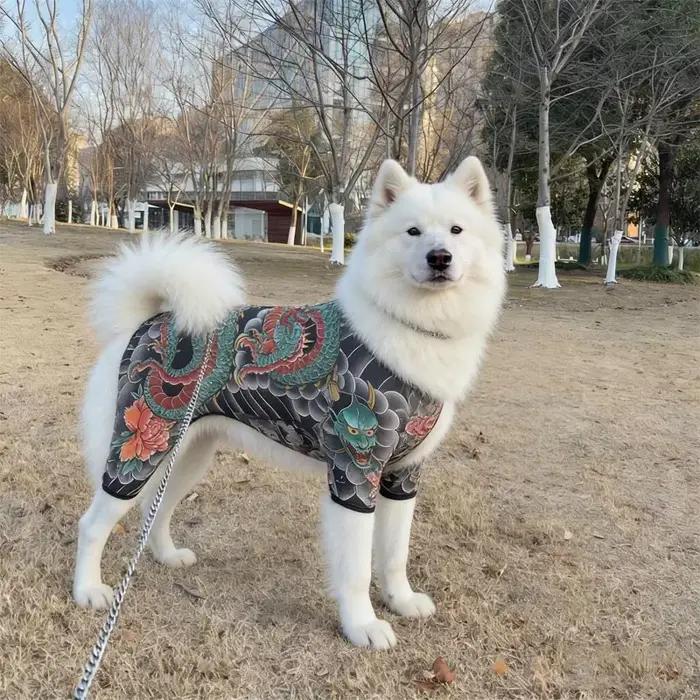 T-shirt humoristique pour chien avec motif tatouage