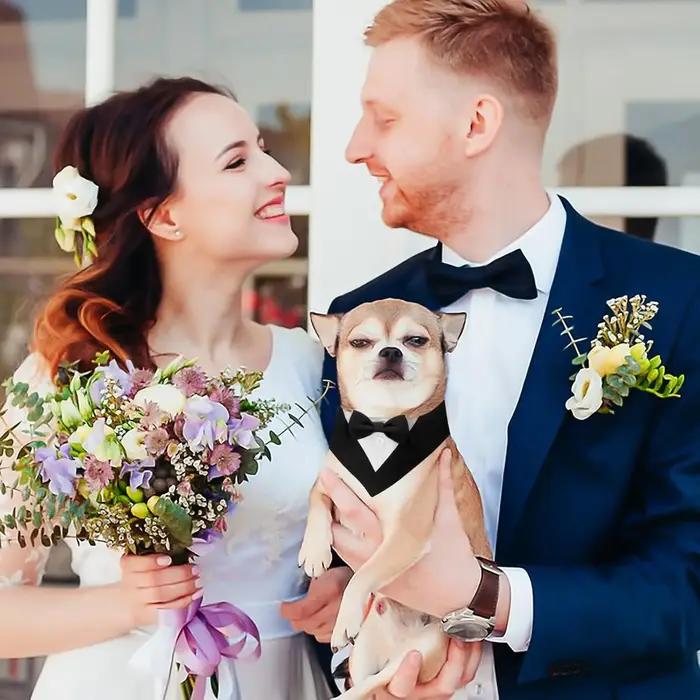 Sucado beau mariage chien Bandana costume élégant noeud papillon luxe triangulaire écharpe collier fiançailles fête cadeaux accessoires