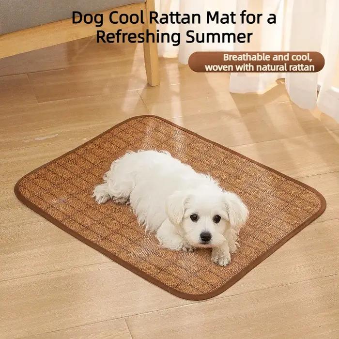 Tapis rafraîchissant pour chien