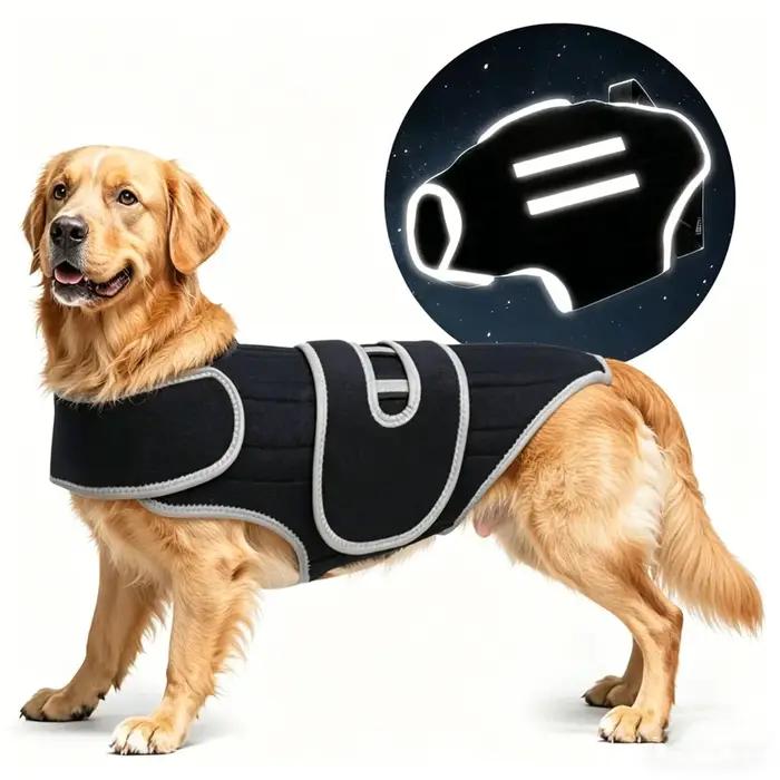 Attelle de soutien dorsal pour chien – Soulage la dysarthrose vertébrale