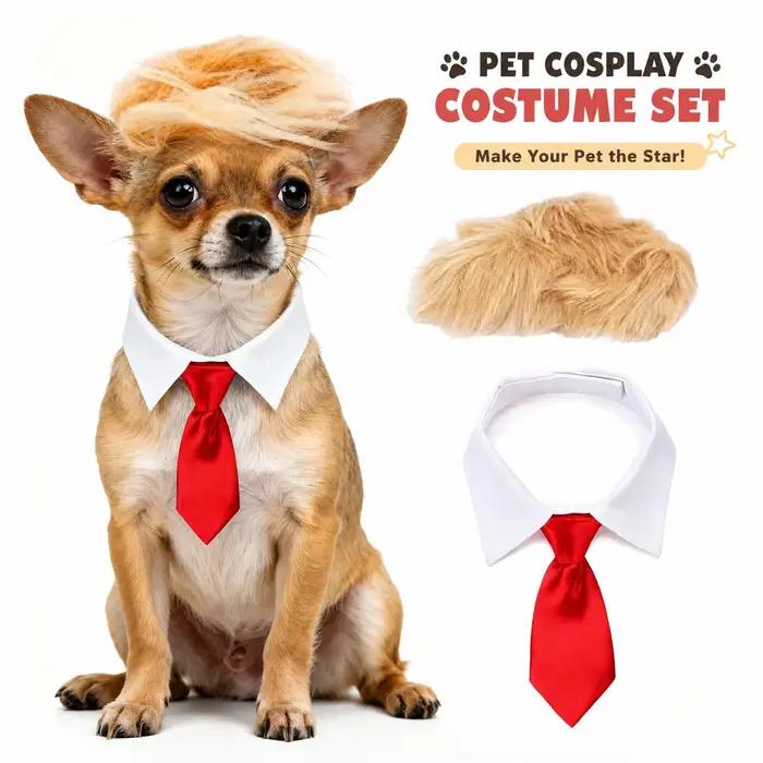 Ensemble de costume drôle pour chien avec perruque et nœud papillon
