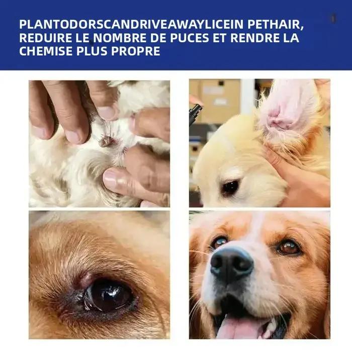 Spray répulsif contre les puces et les tiques pour animaux de compagnie