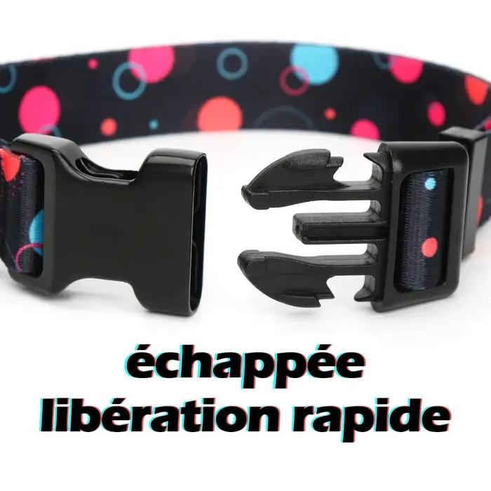 Collier personnalisé en nylon de luxe pour chiens de toutes races et tailles avec plaque gravée pour identité