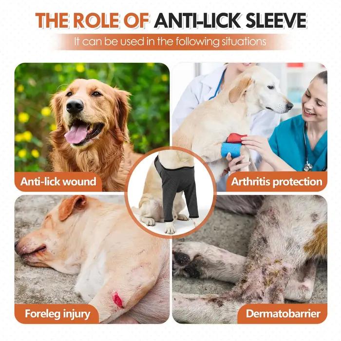 Combinaison de récupération pour chiens après chirurgie ou blessure jambes avant protection coude chiens taille moyenne grande neutre grise convalescence chiens occasions spéciales