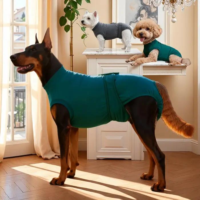 Combinaison de récupération post-opératoire pour chien