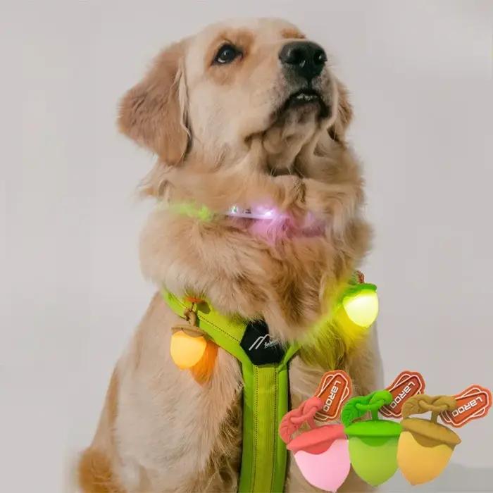 Pendentif Led qui brille dans le noir pour chien