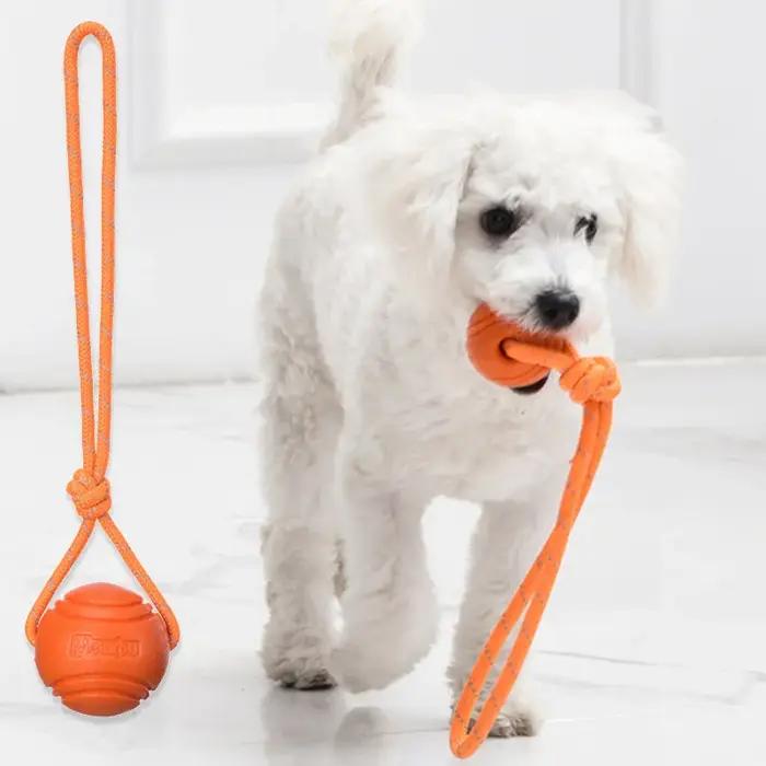 Ballon d'entraînement pour chien sur corde