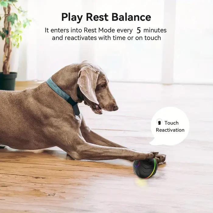 Balle taquine intelligente pour chien, jouet interactif avec mouvements aléatoires et lumières colorées, longue durée de vie 4h, pour tous les chiens de toutes tailles et races, idéal pour l'intérieur et l'extérieur