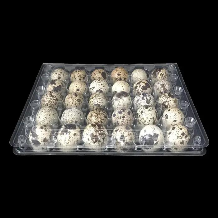 Plateau à œufs de caille, 12 pièces, matériau pour animaux de compagnie de qualité alimentaire, Comp