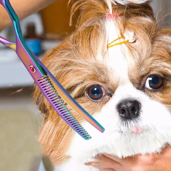 Ciseaux incurvés à Double queue pour couper la fourrure de chien