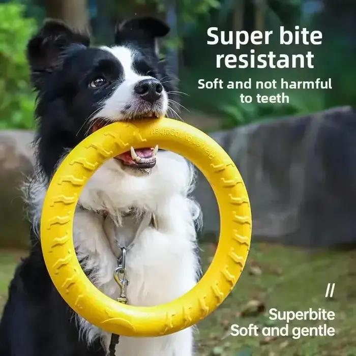 Jouets d'anneau pour chien
