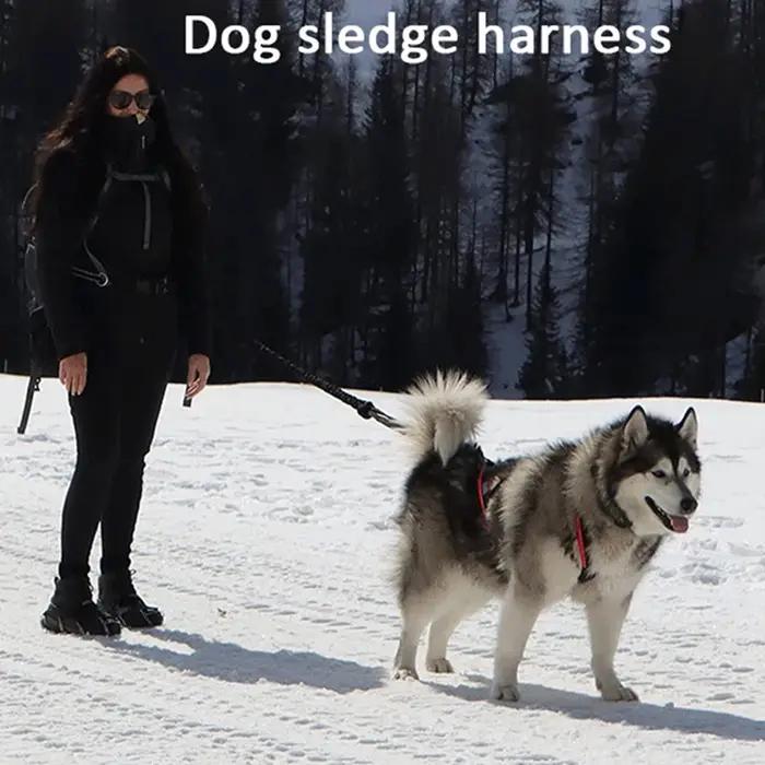 Harnais de traîneau pour grands chiens de haute qualité