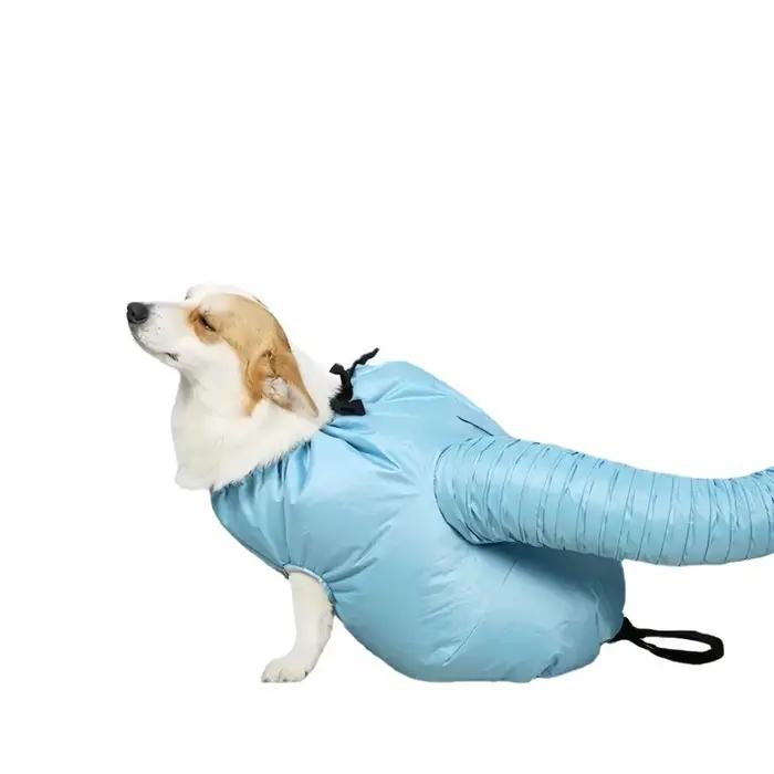 Sèche-cheveux pliable pour chien