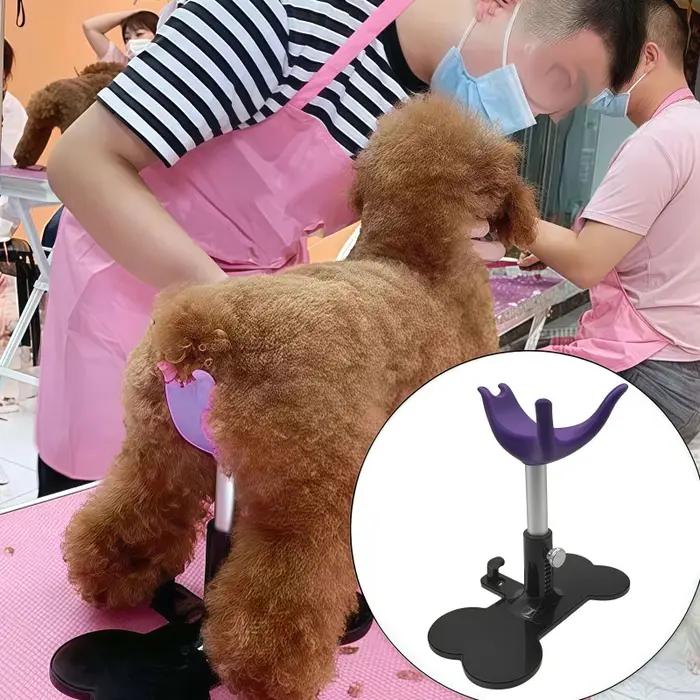 Table de toilettage pour petits chiens et Support de toilettage pour chats pour animaux de compagnie 5-10kg Support fixe auxiliaire outils de toilettage professionnels pour animaux de compagnie
