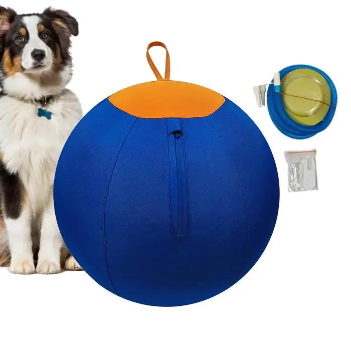 Balle de jeu interactive en plastique bleu pour chiens de toutes tailles, pour jouer à l'intérieur et à l'extérieur, stimuler l'esprit et le corps de votre animal de compagnie, résistant aux mordillements et aux griffures