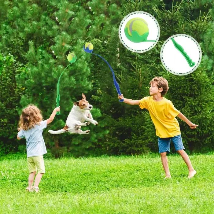 Ensemble de lanceurs de balles de Tennis pour animaux de compagnie